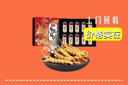 洛阳市伊川回收虫草