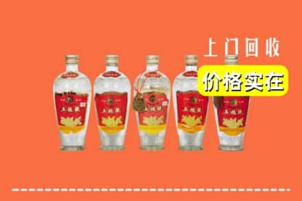 洛阳市伊川回收老五粮液